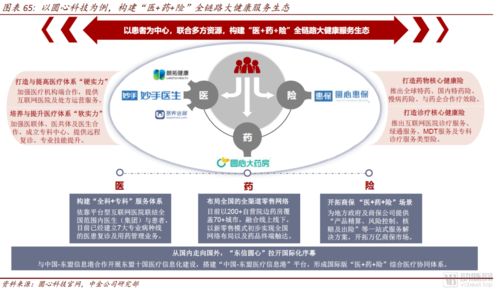 中金公司互聯(lián)網(wǎng)醫(yī)藥產(chǎn)業(yè)報(bào)告 醫(yī)藥零售高毛利時(shí)代謝幕，全域互聯(lián)網(wǎng)銷售新紀(jì)元已來